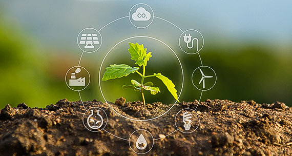 Thumb carrousel responsabilidade ambiental
